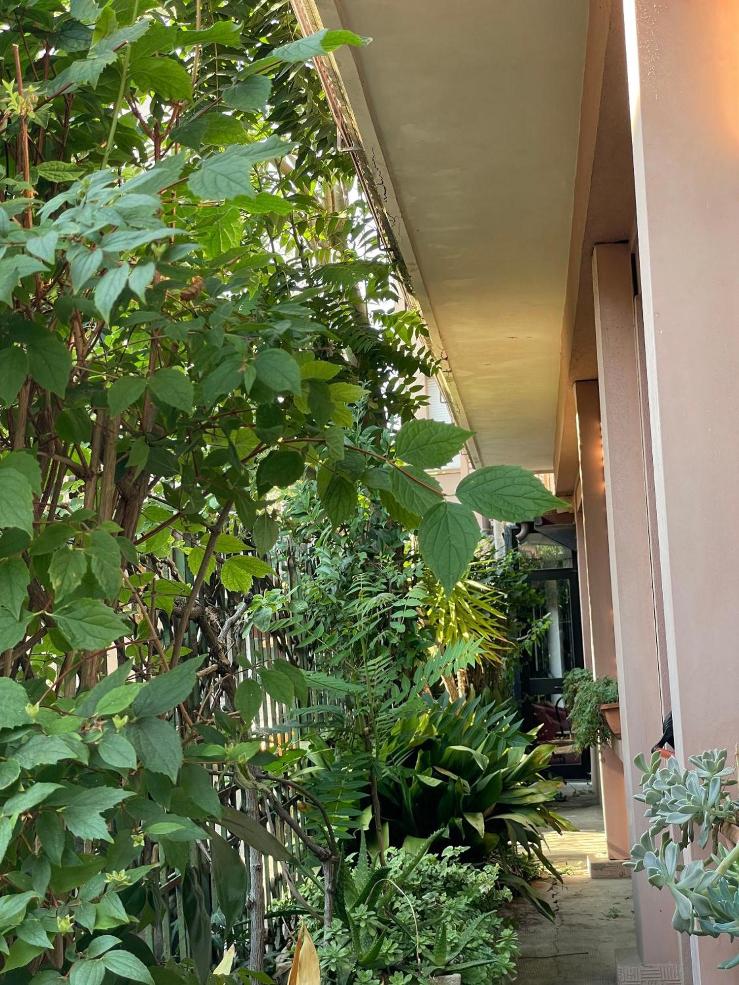 קאטוליקה Hotel Berlino מראה חיצוני תמונה